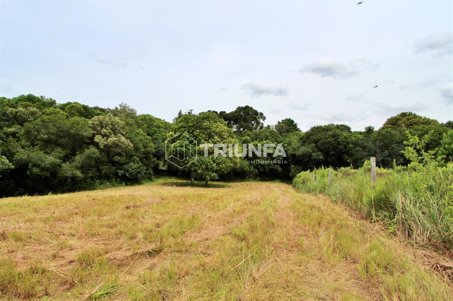 Chácara, à venda, 20.000.000 m², Desvio Blauth - Farroupilha — foto 3