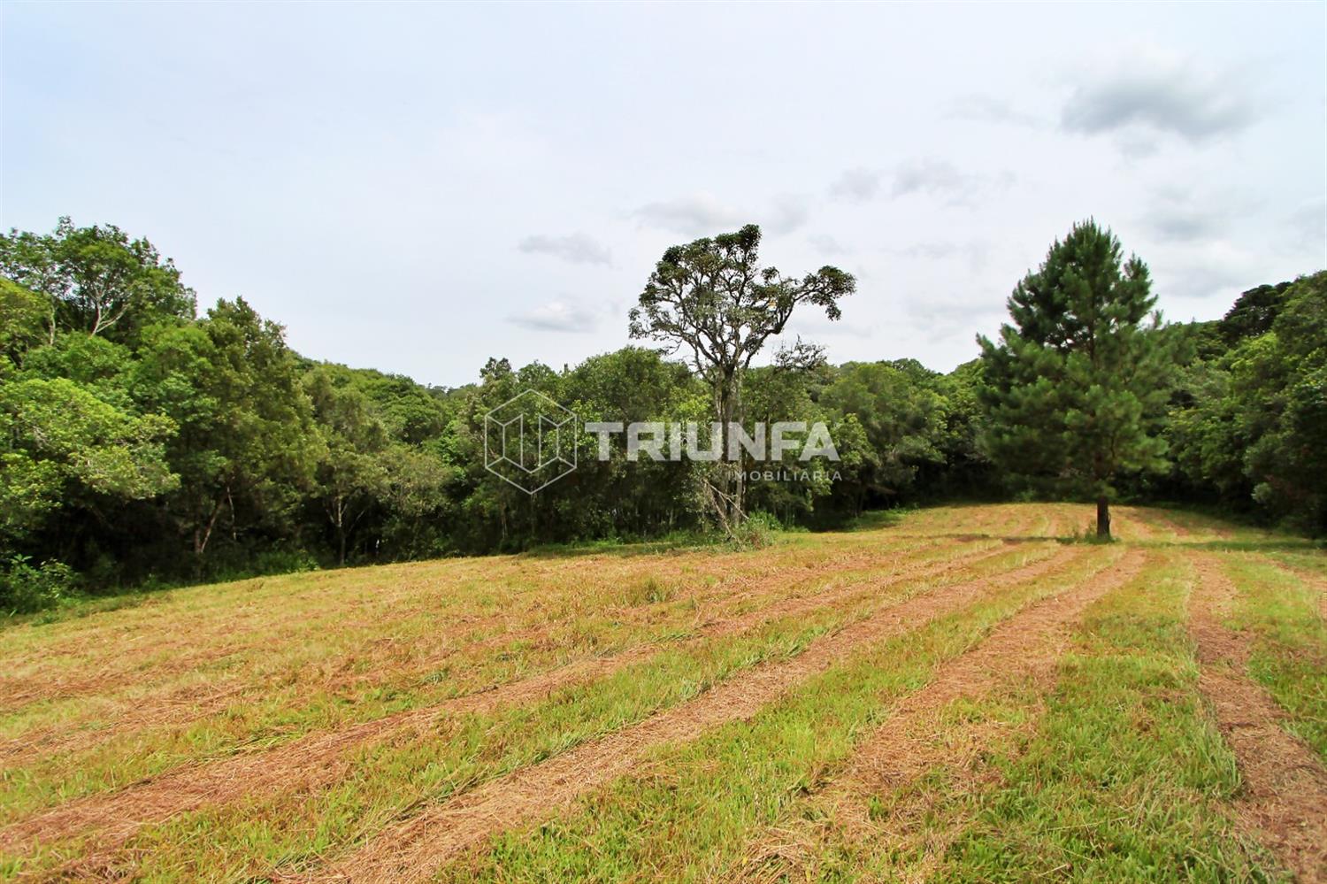 Chácara, à venda, 20.000.000 m², Desvio Blauth - Farroupilha — foto 4
