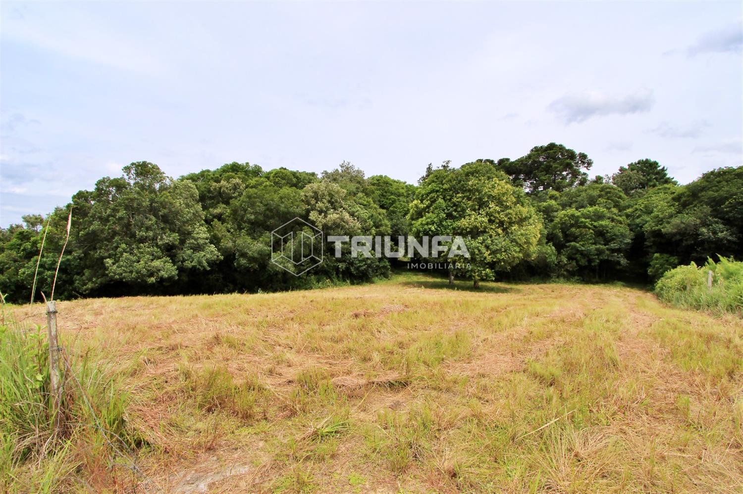 Chácara, à venda, 20.000.000 m², Desvio Blauth - Farroupilha — foto 2