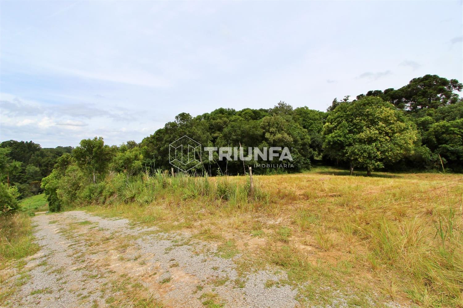 Chácara, à venda, 20.000.000 m², Desvio Blauth - Farroupilha — foto 5