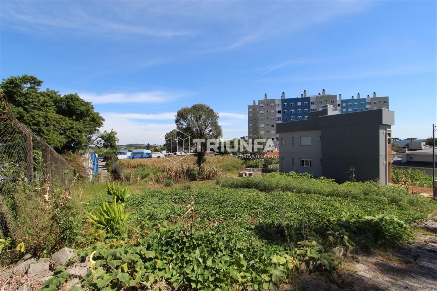 Terreno, à venda, 342 m², Volta Grande - Farroupilha — foto 2