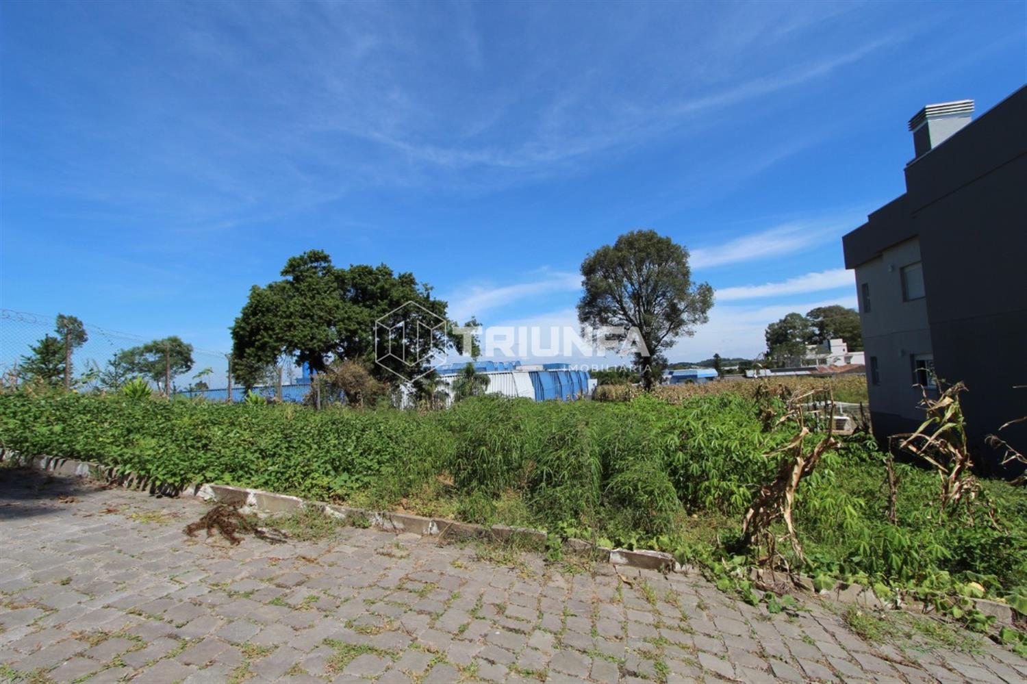 Terreno, à venda, 342 m², Volta Grande - Farroupilha — foto 3