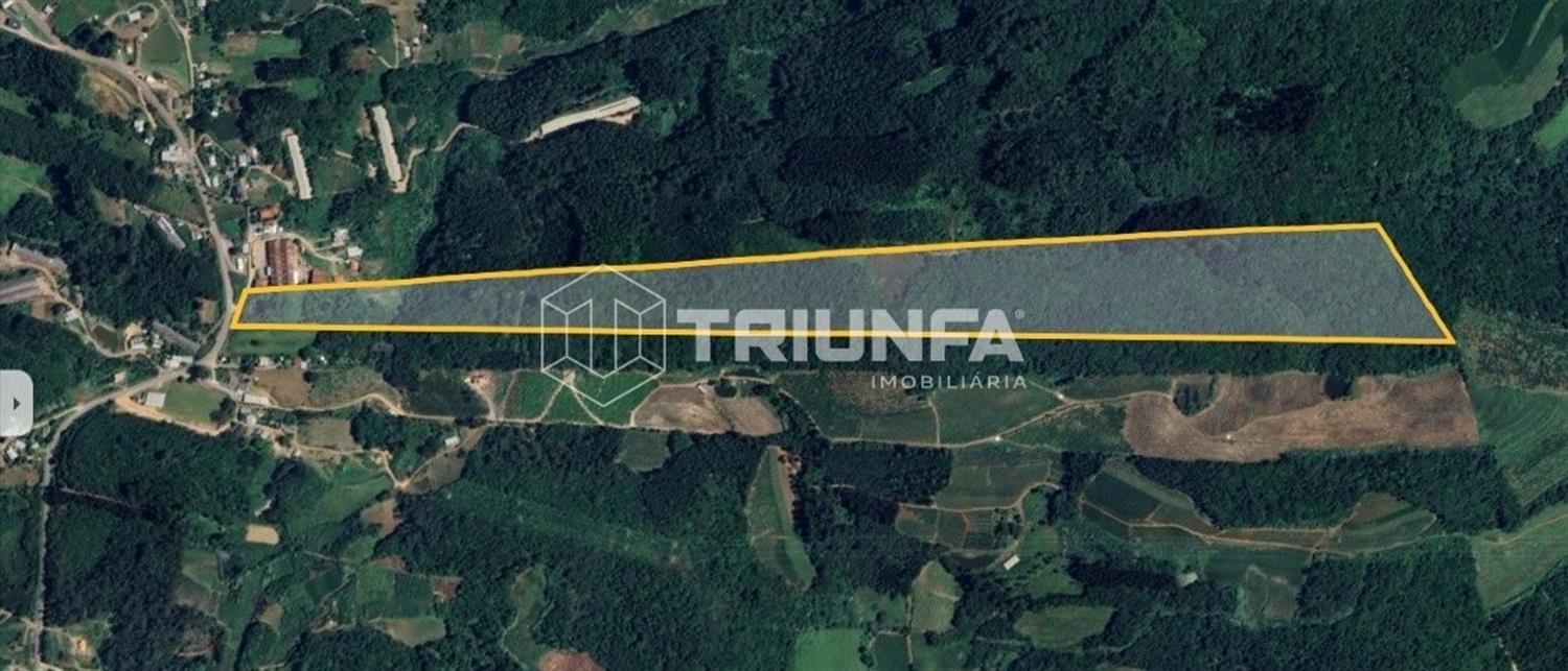 Imagine-se vivendo em um lugar onde a natureza é sua vizinha mais próxima.
