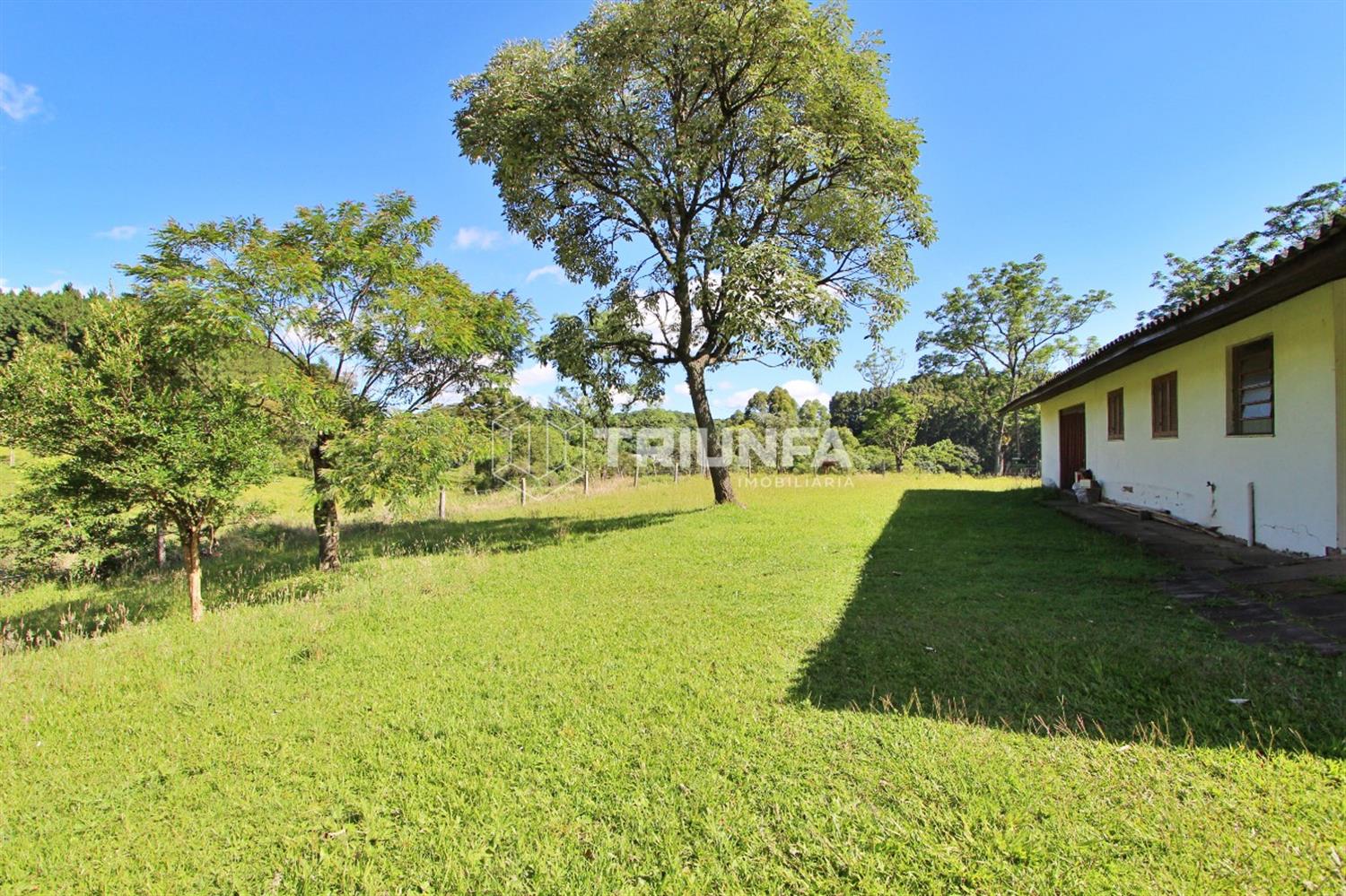 Esta área de terra está localizada na região da Vicentina, em uma excelente localização, com 6 hectares de terreno.