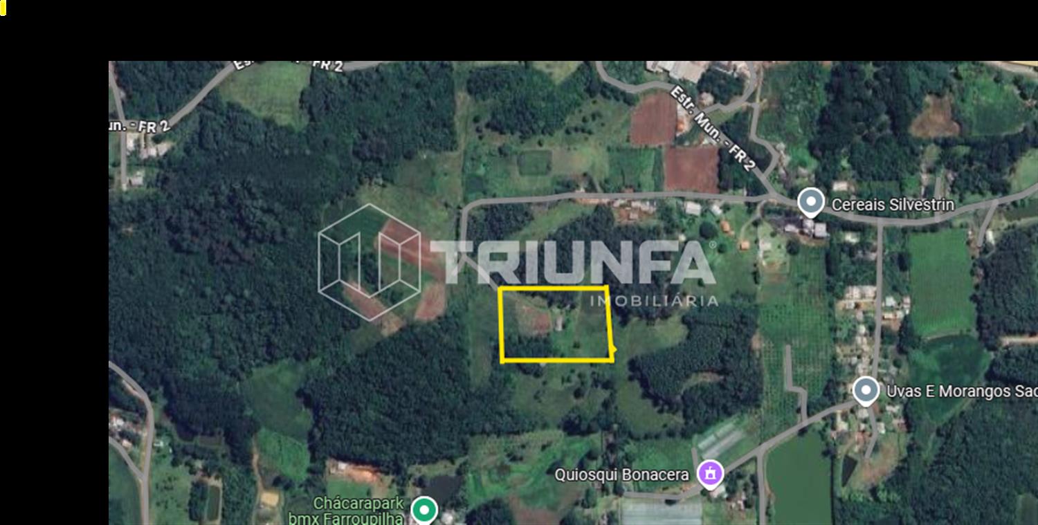 Terreno, à venda, 6.000 m², Vicentina - Farroupilha — foto 2
