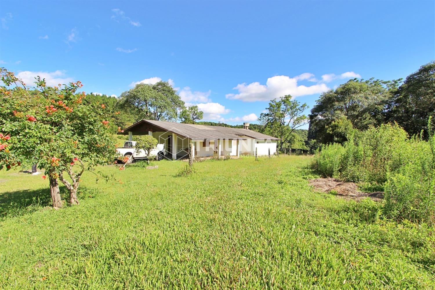 Terreno, à venda, 6.000 m², Vicentina - Farroupilha — foto 4