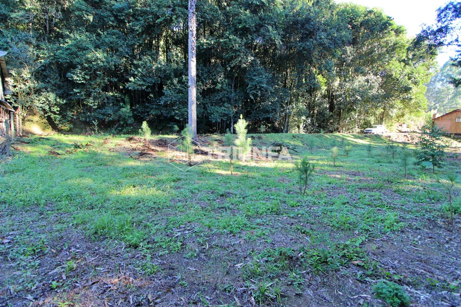 Chácara, à venda, 3.420 m², Linha Ely - Farroupilha — foto 3