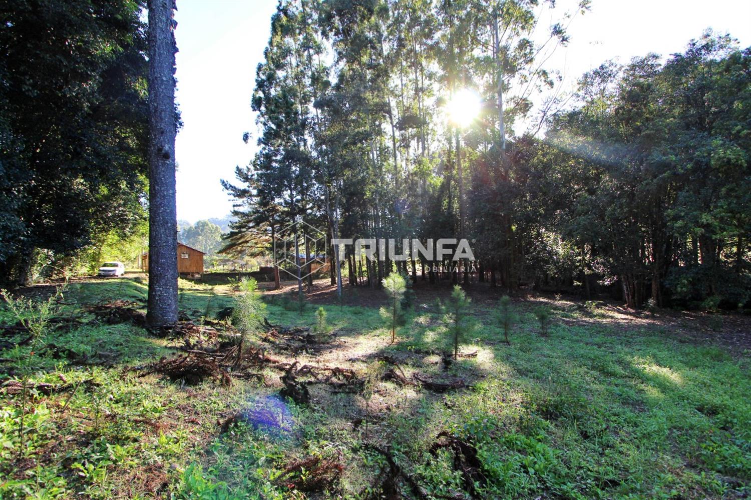 Chácara, à venda, 3.420 m², Linha Ely - Farroupilha — foto 2