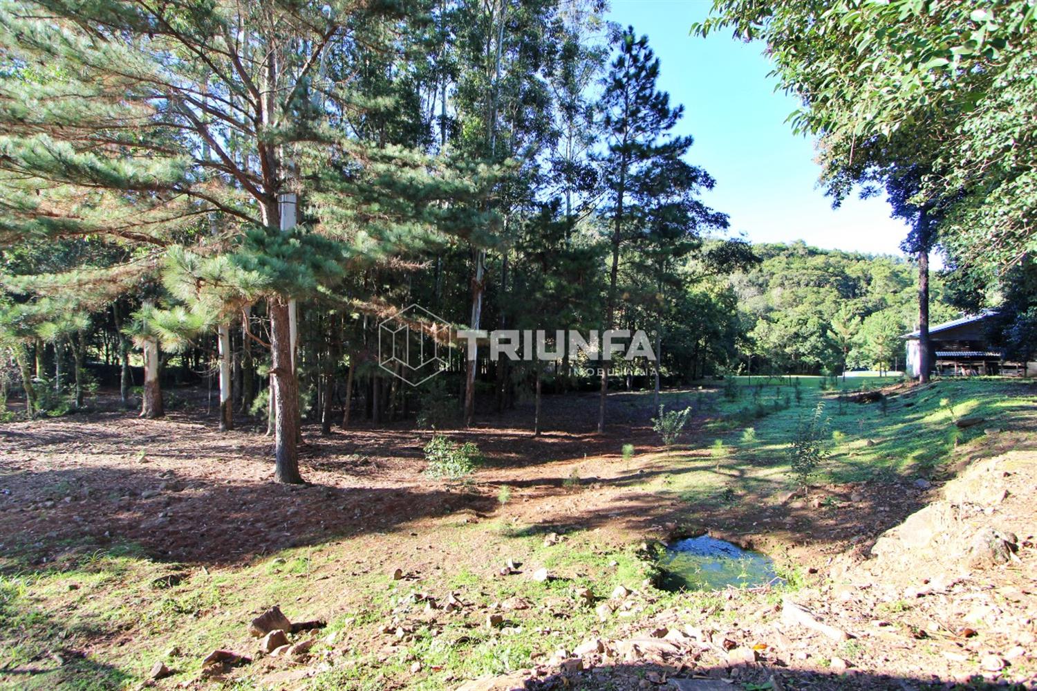 Chácara à venda com 3.420 m² - Um refúgio de tranquilidade e natureza!