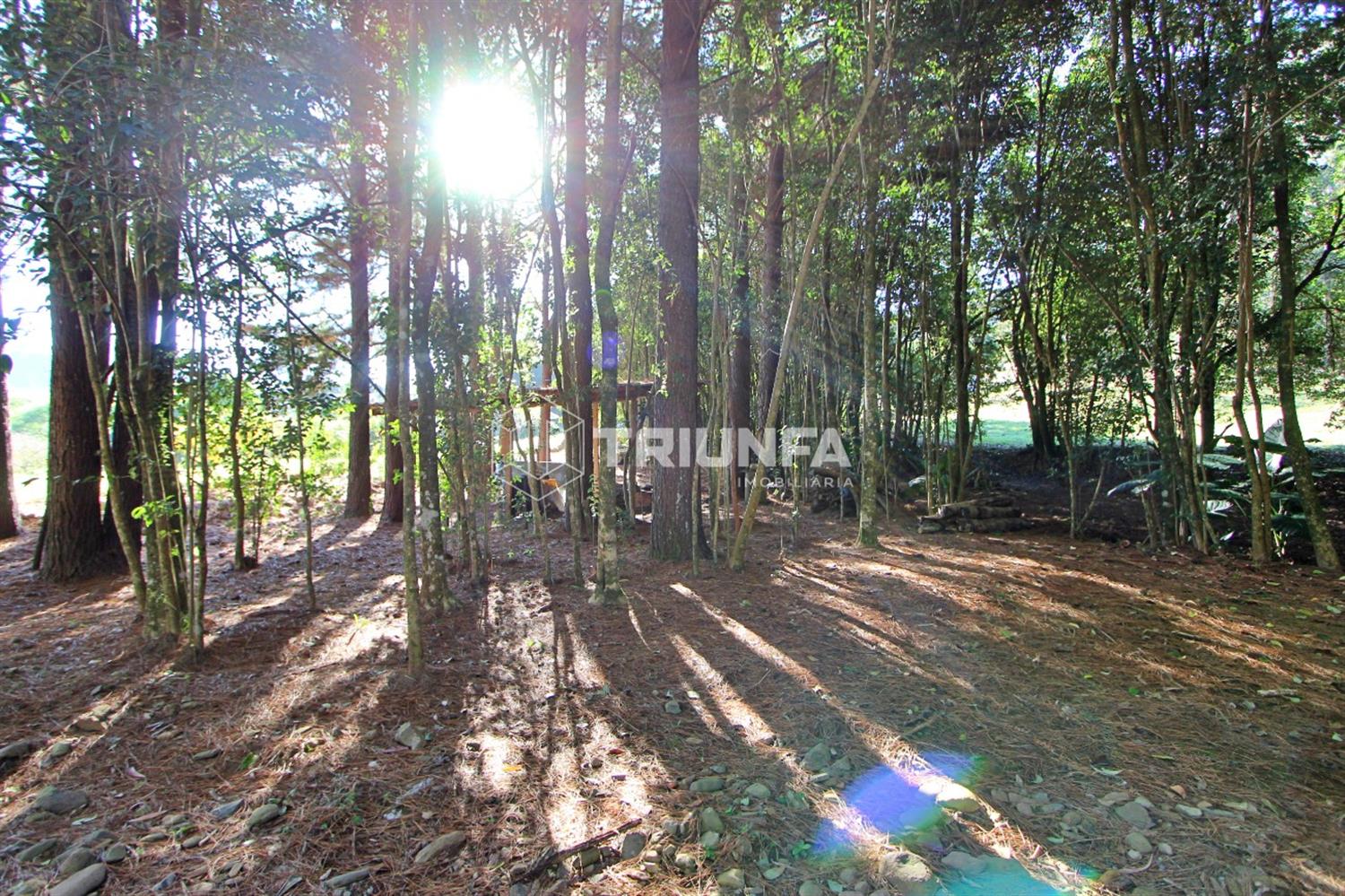 Chácara, à venda, 8.412 m², Linha Ely - Farroupilha — foto 5