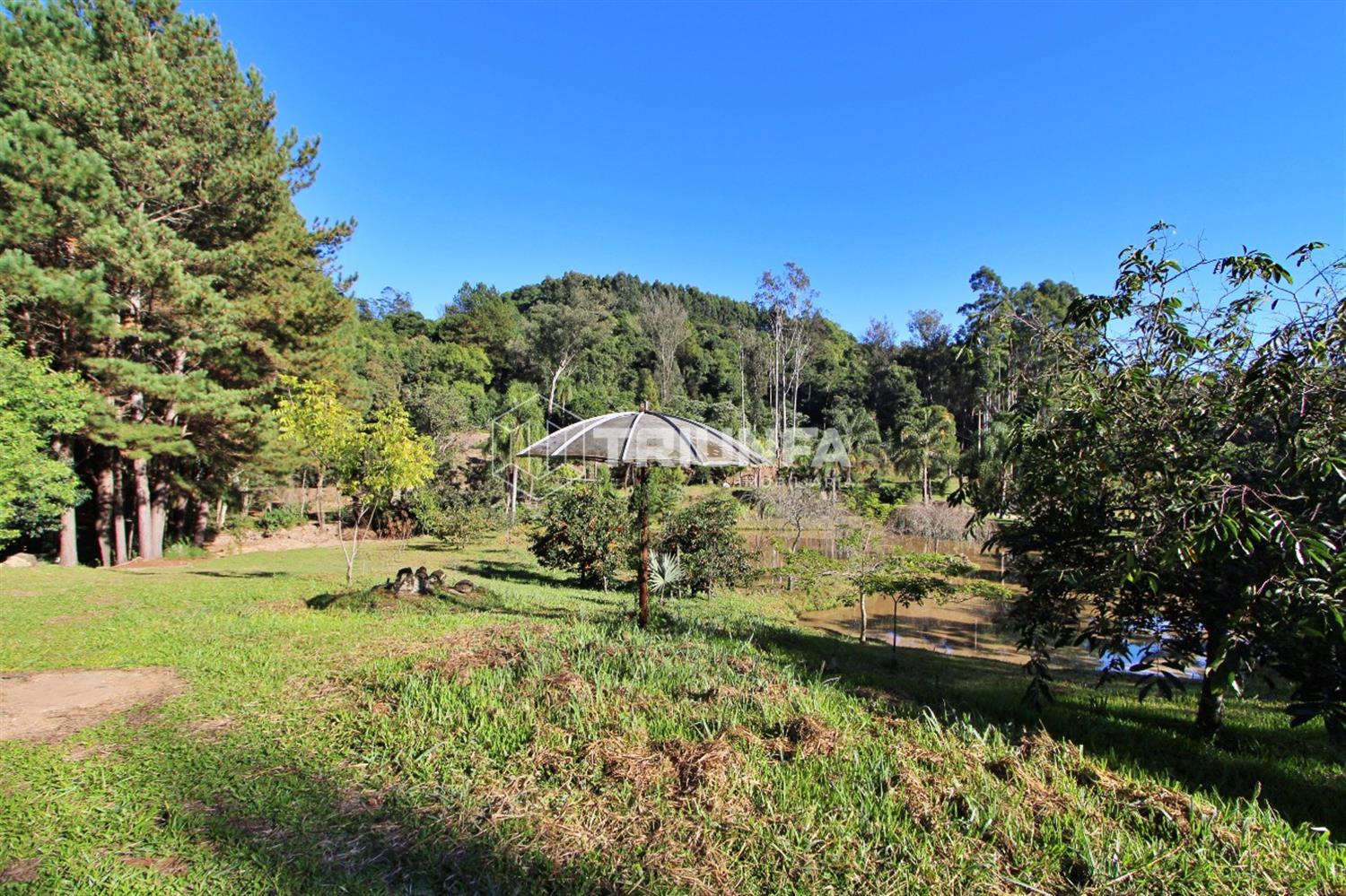 Chácara à venda com 8.412 m² - Um refúgio de tranquilidade e natureza!