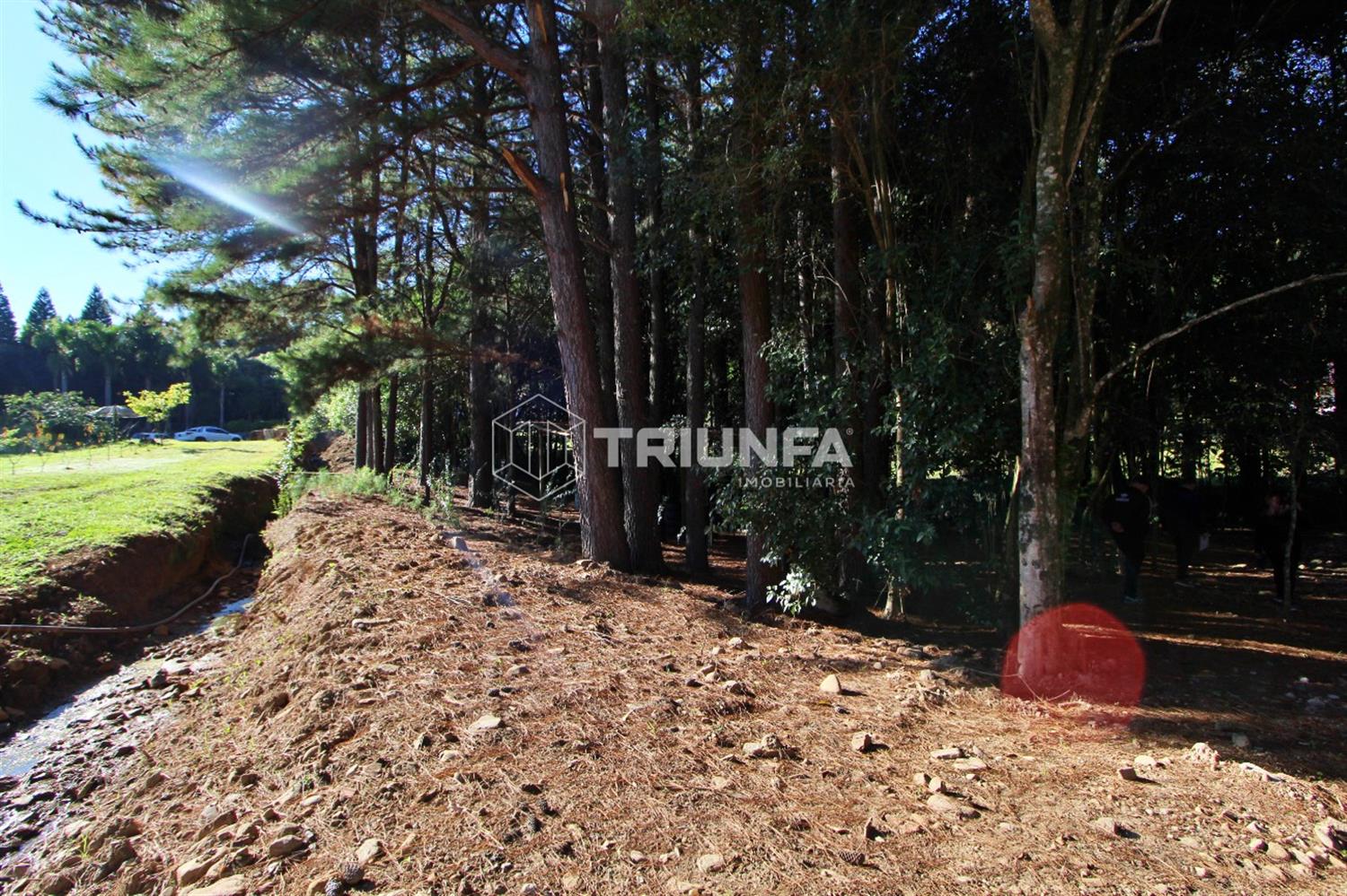 Chácara, à venda, 8.412 m², Linha Ely - Farroupilha — foto 3