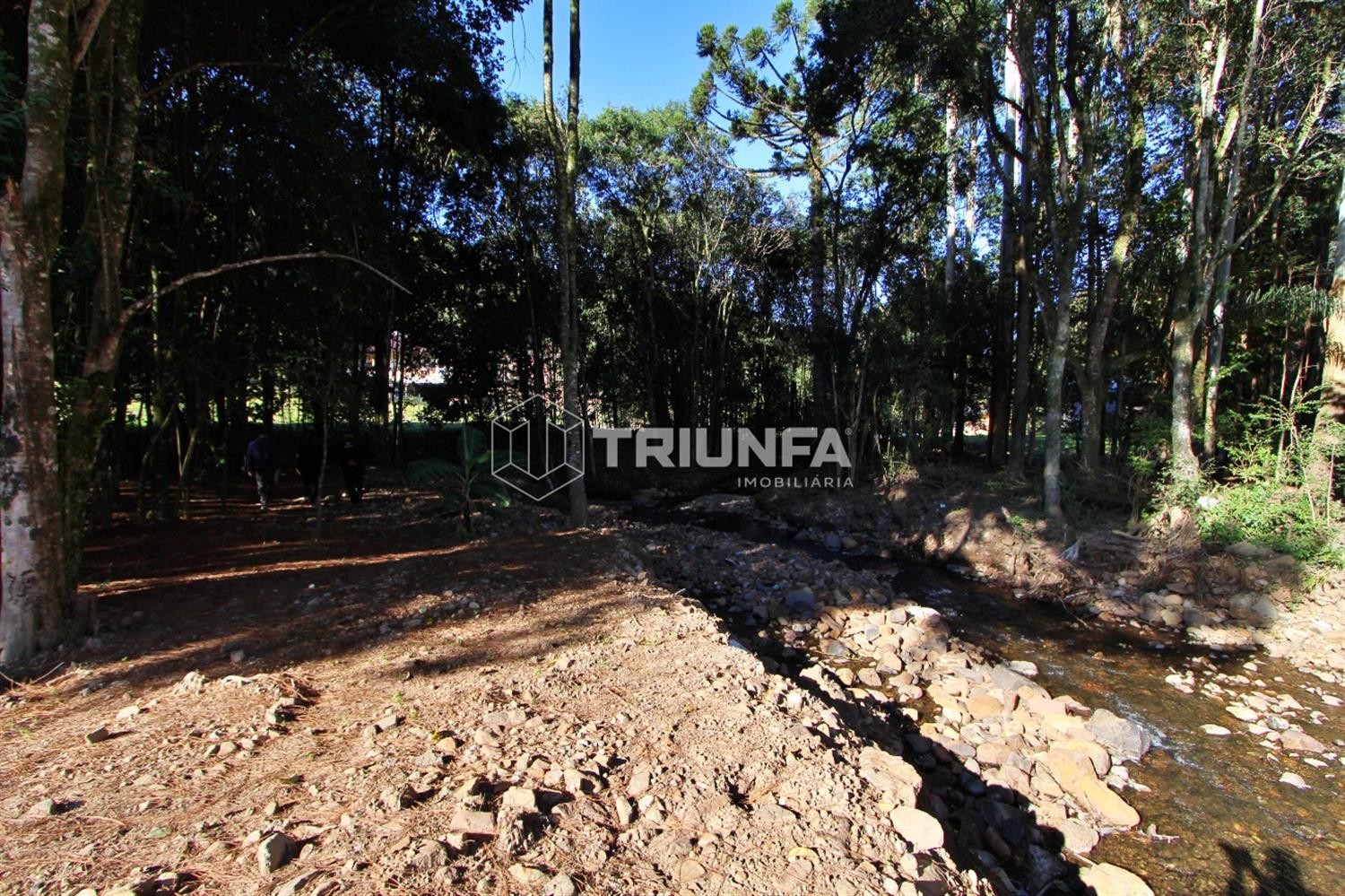 Chácara, à venda, 8.412 m², Linha Ely - Farroupilha — foto 4