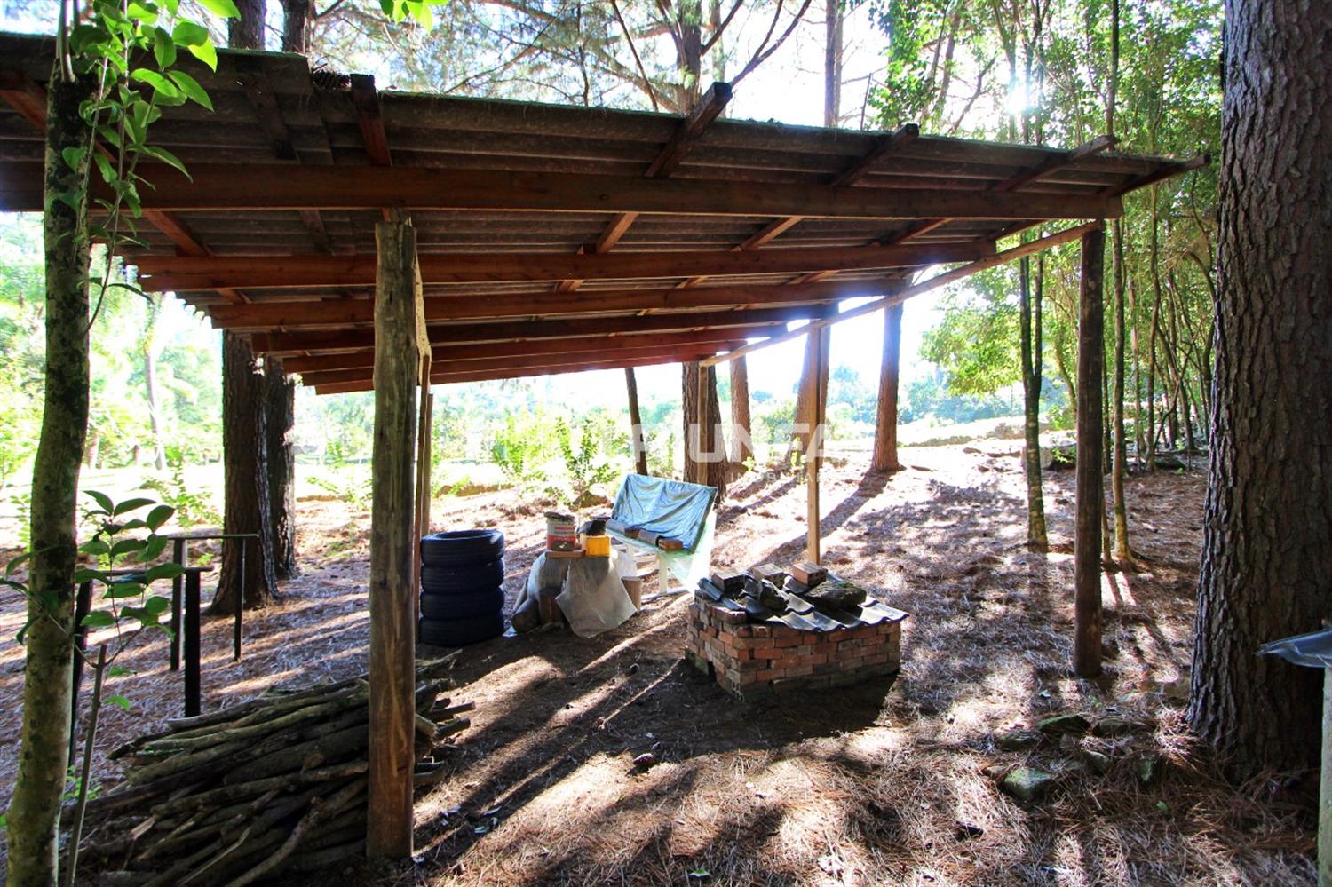 Chácara, à venda, 8.412 m², Linha Ely - Farroupilha — foto 2