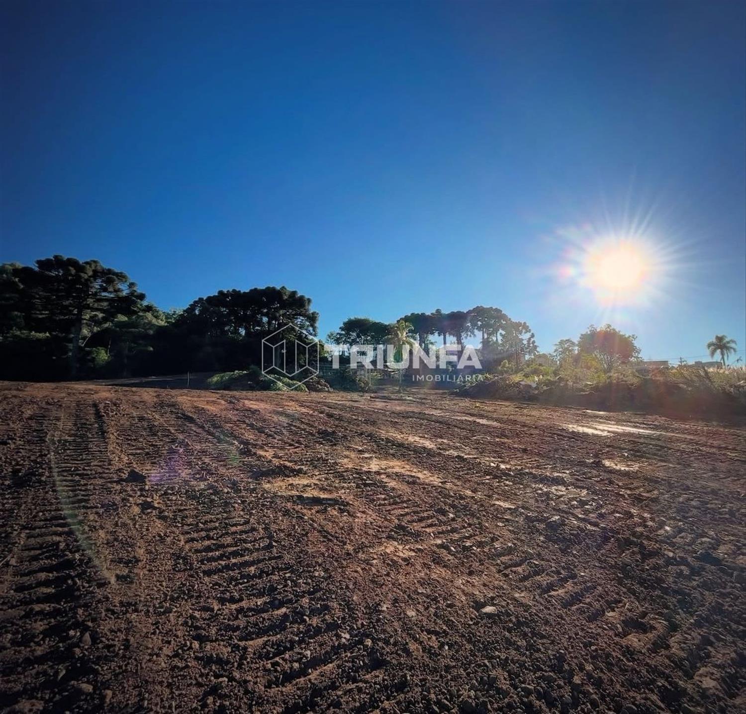 Terreno, à venda, Volta Grande - Farroupilha — foto 3