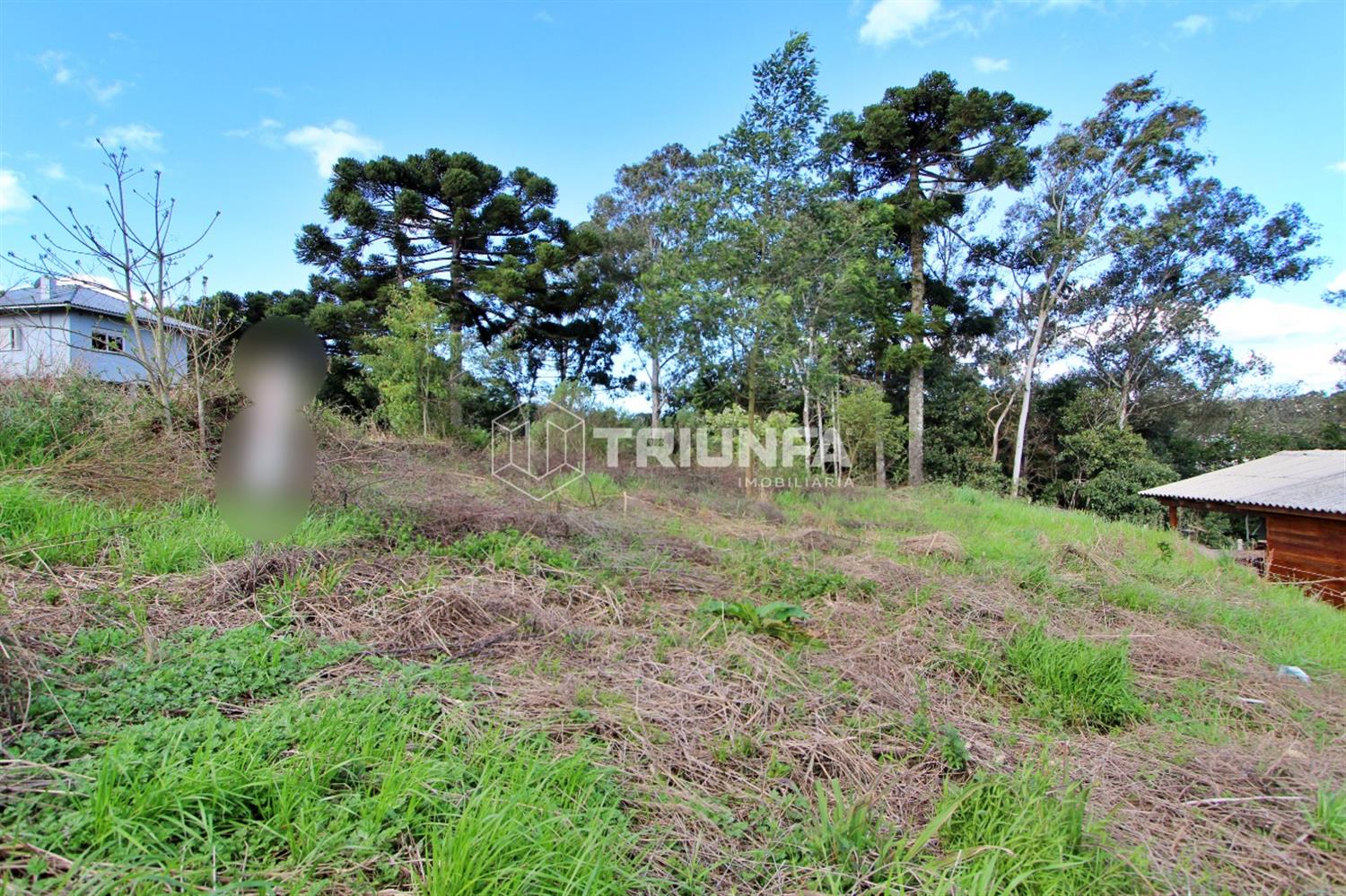 Terreno, à venda, 609 m², Monte Verde - Farroupilha — foto 2