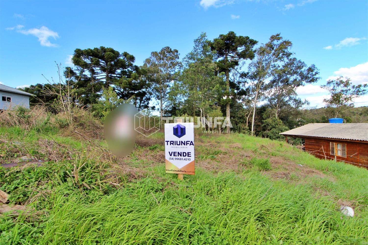 Terreno localizado em Monte Verde, com excelente posição solar ao longo de todo o dia, ideal para quem busca um espaço