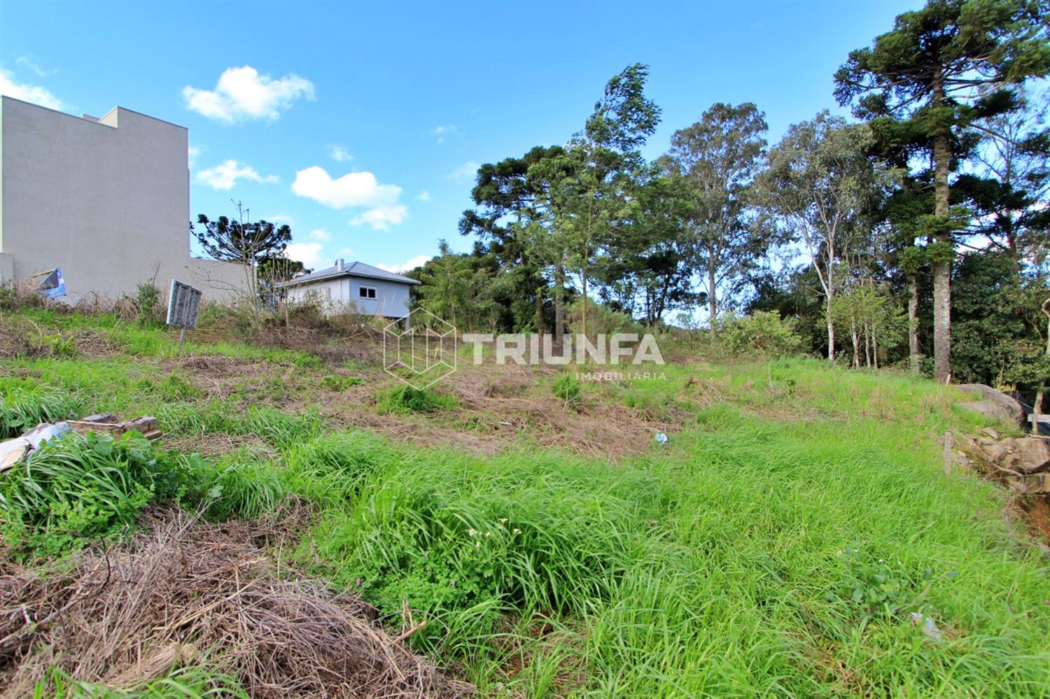 Terreno, à venda, 609 m², Monte Verde - Farroupilha — foto 3