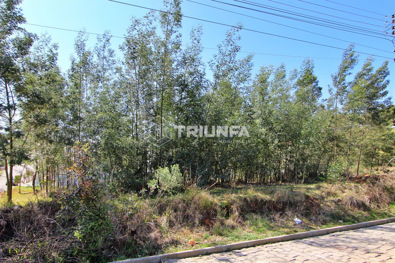 Terreno, à venda, 825 m², São Francisco - Farroupilha — foto 3