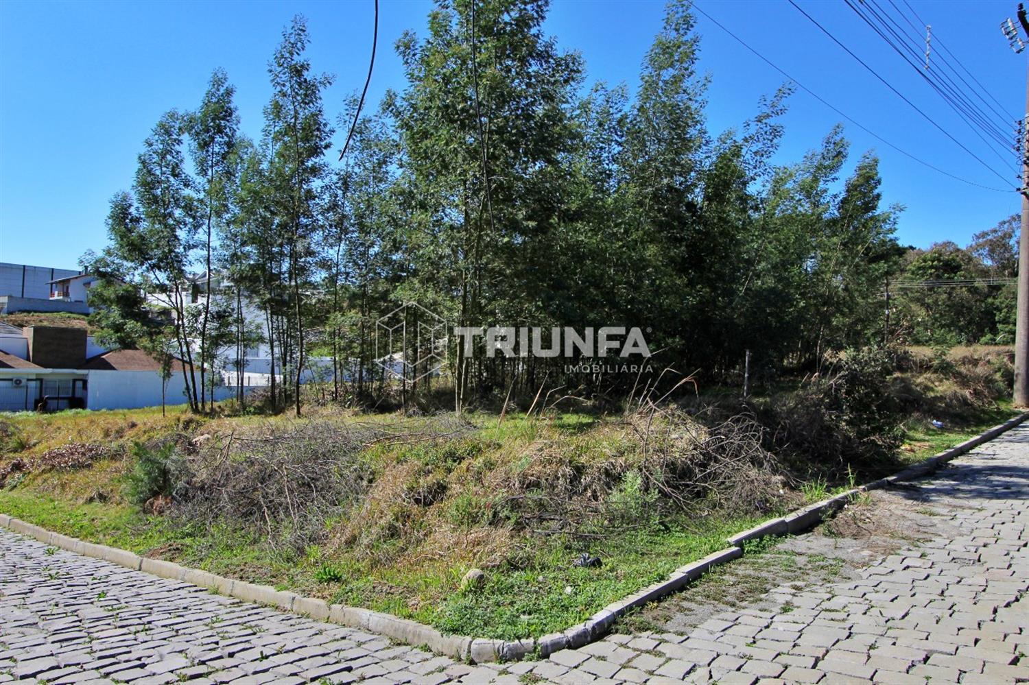 Terreno, à venda, 825 m², São Francisco - Farroupilha — foto 2