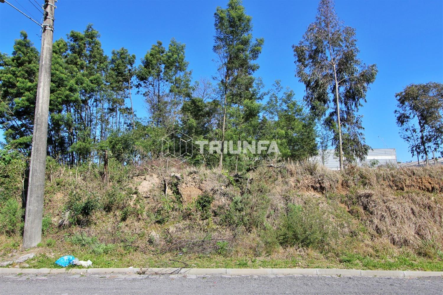 Terreno, à venda, 788 m², São Francisco - Farroupilha — foto 2