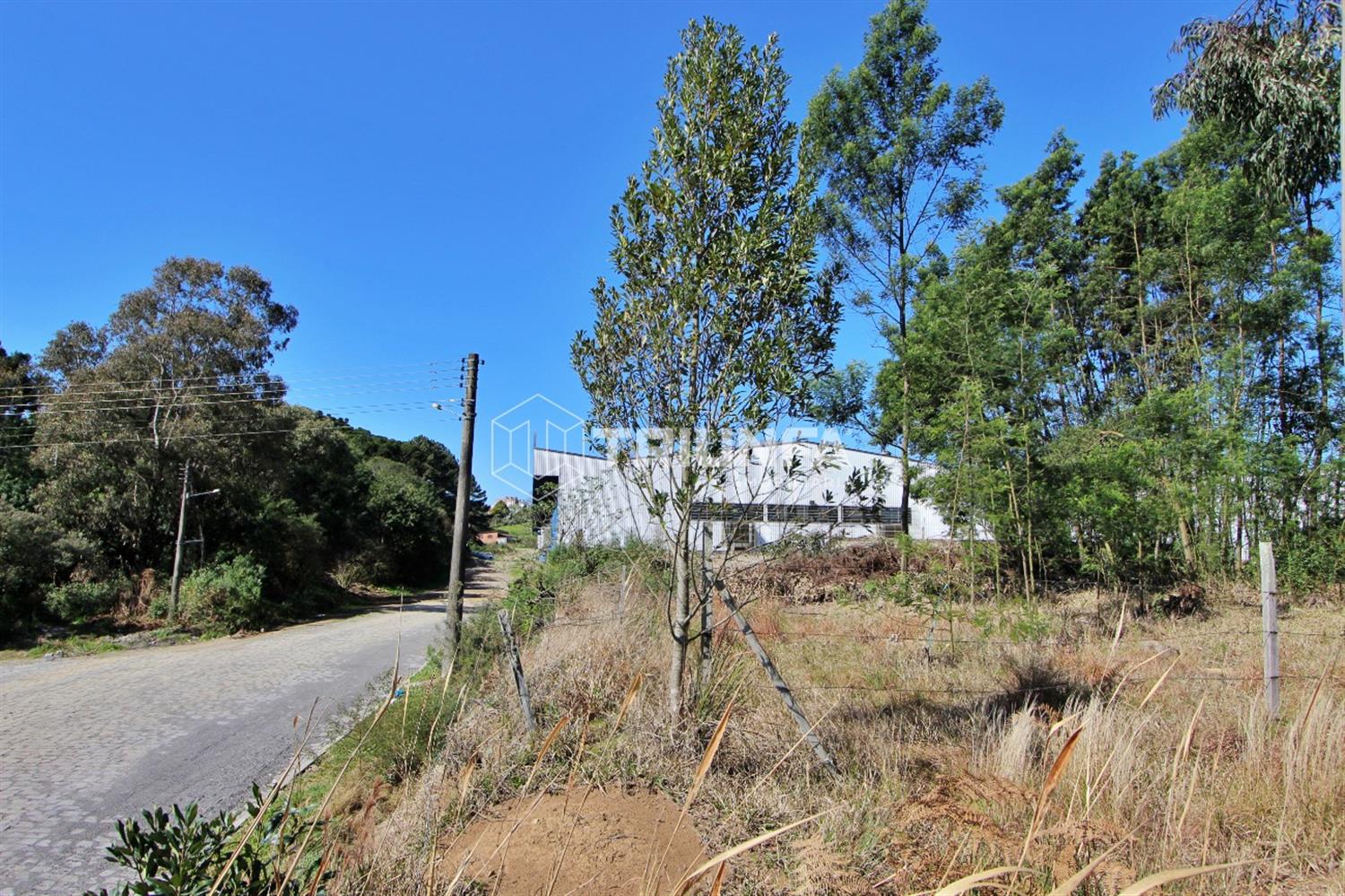 Terreno, à venda, 788 m², São Francisco - Farroupilha — foto 4
