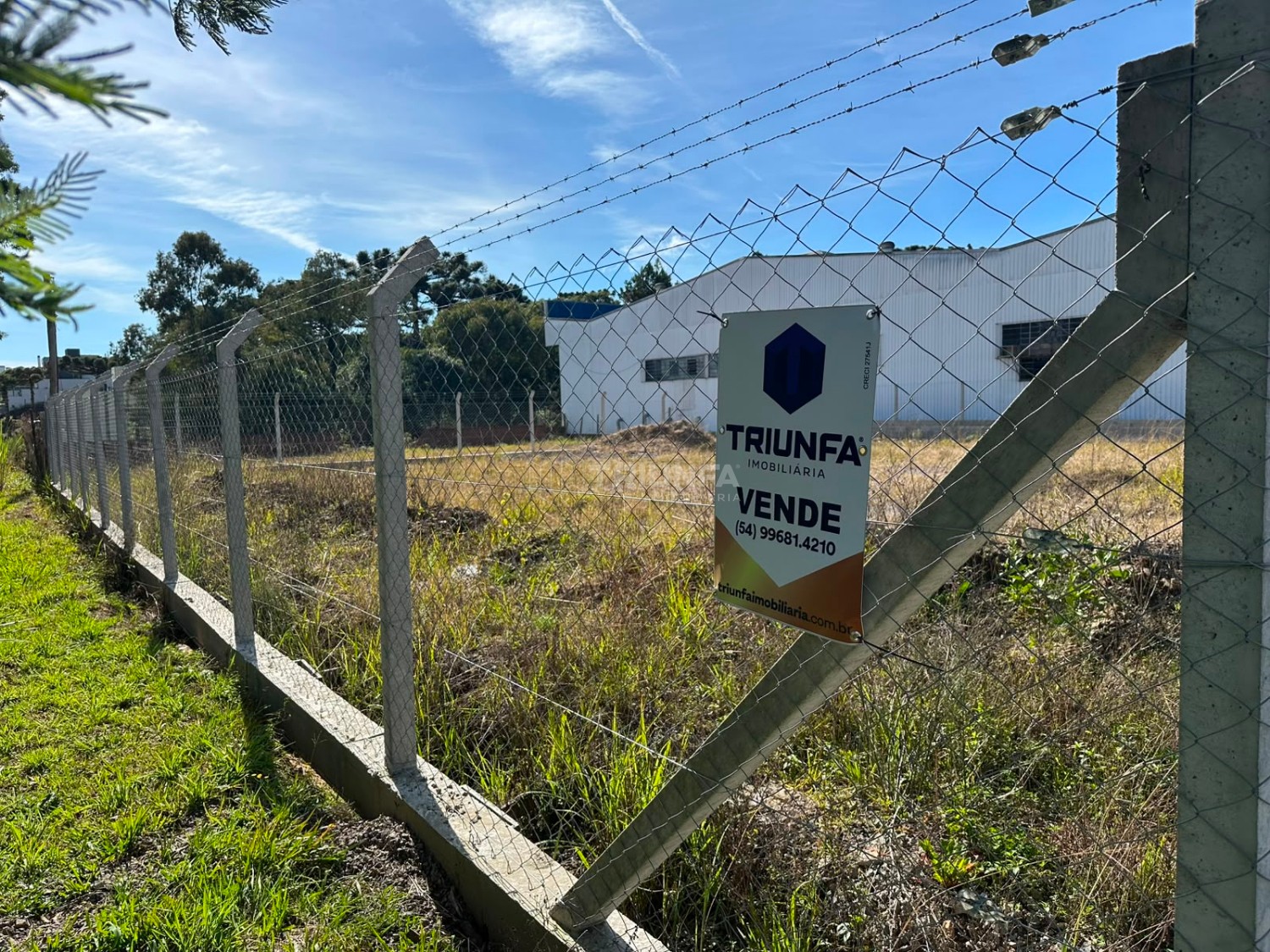 Terreno, à venda, 420 m², São Francisco - Farroupilha — foto 4