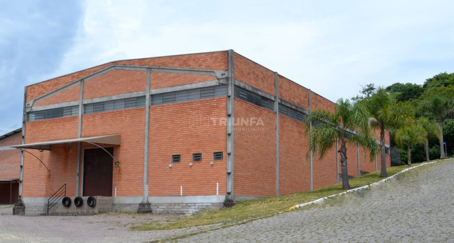 Galpão, à venda, 740 m², Imigrante - Farroupilha — foto 3