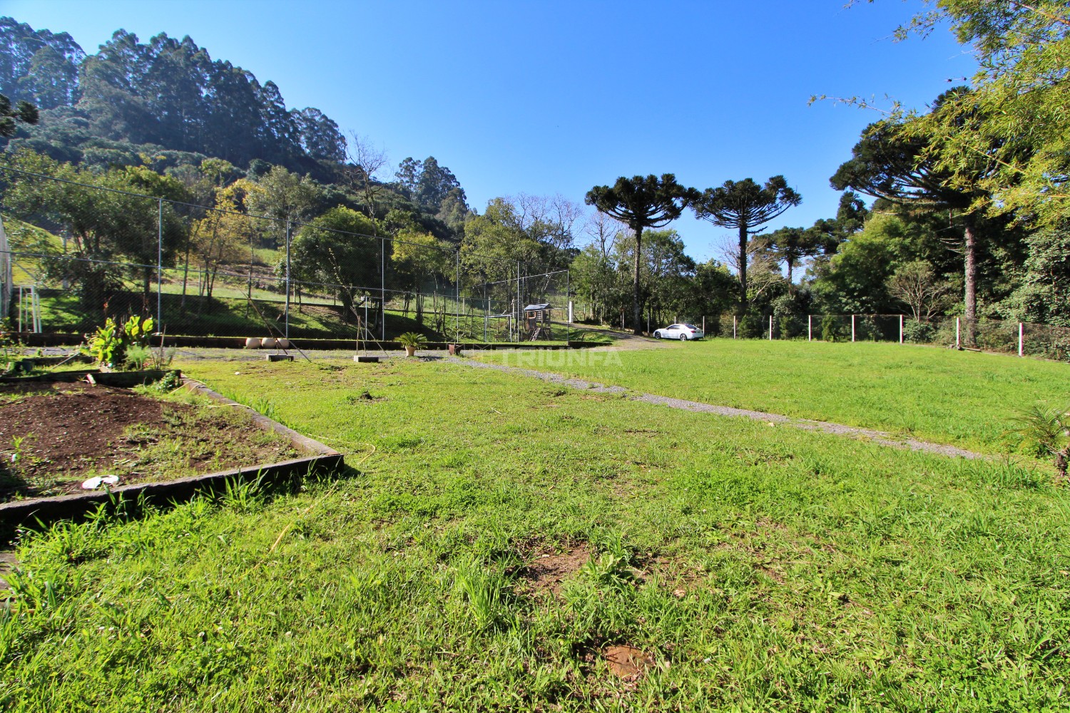 Chácara, à venda, 5.000 m², Linha Silvestrin - Farroupilha — foto 3