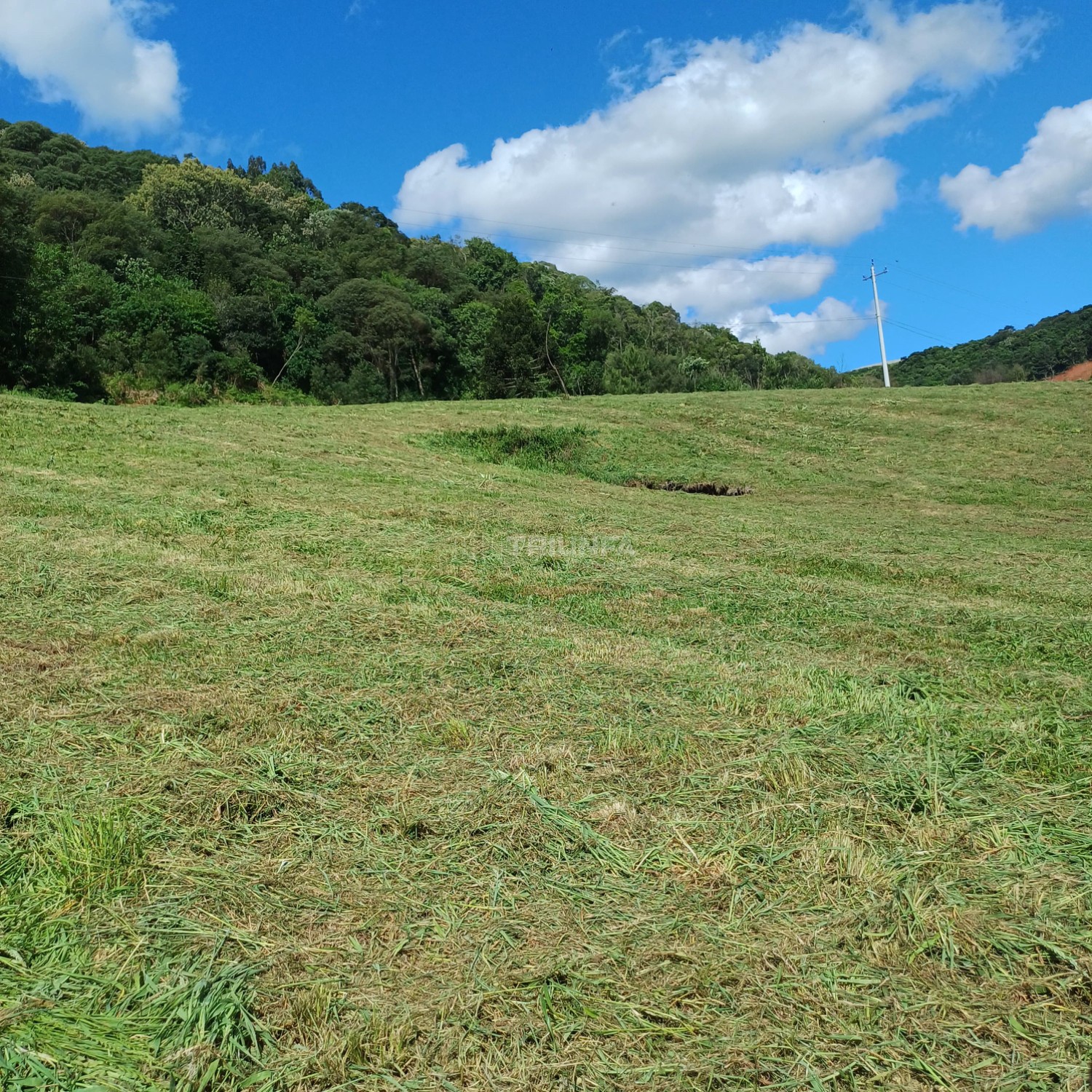 Chácara à venda no Santa Lúcia do Piaí - Caxias do Sul
