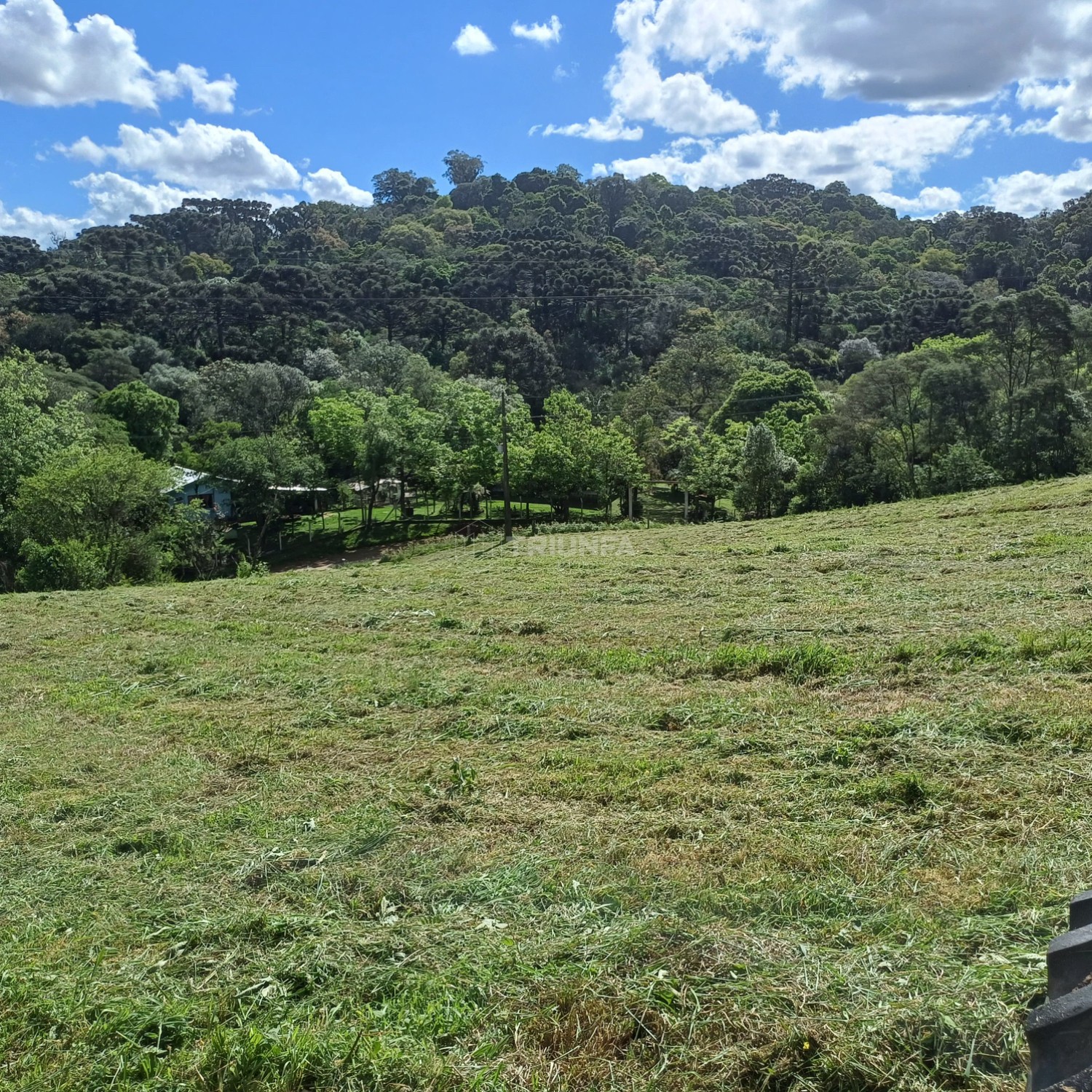 Chácara, à venda, 20.000 m², Santa Lúcia do Piaí - Caxias do Sul — foto 2