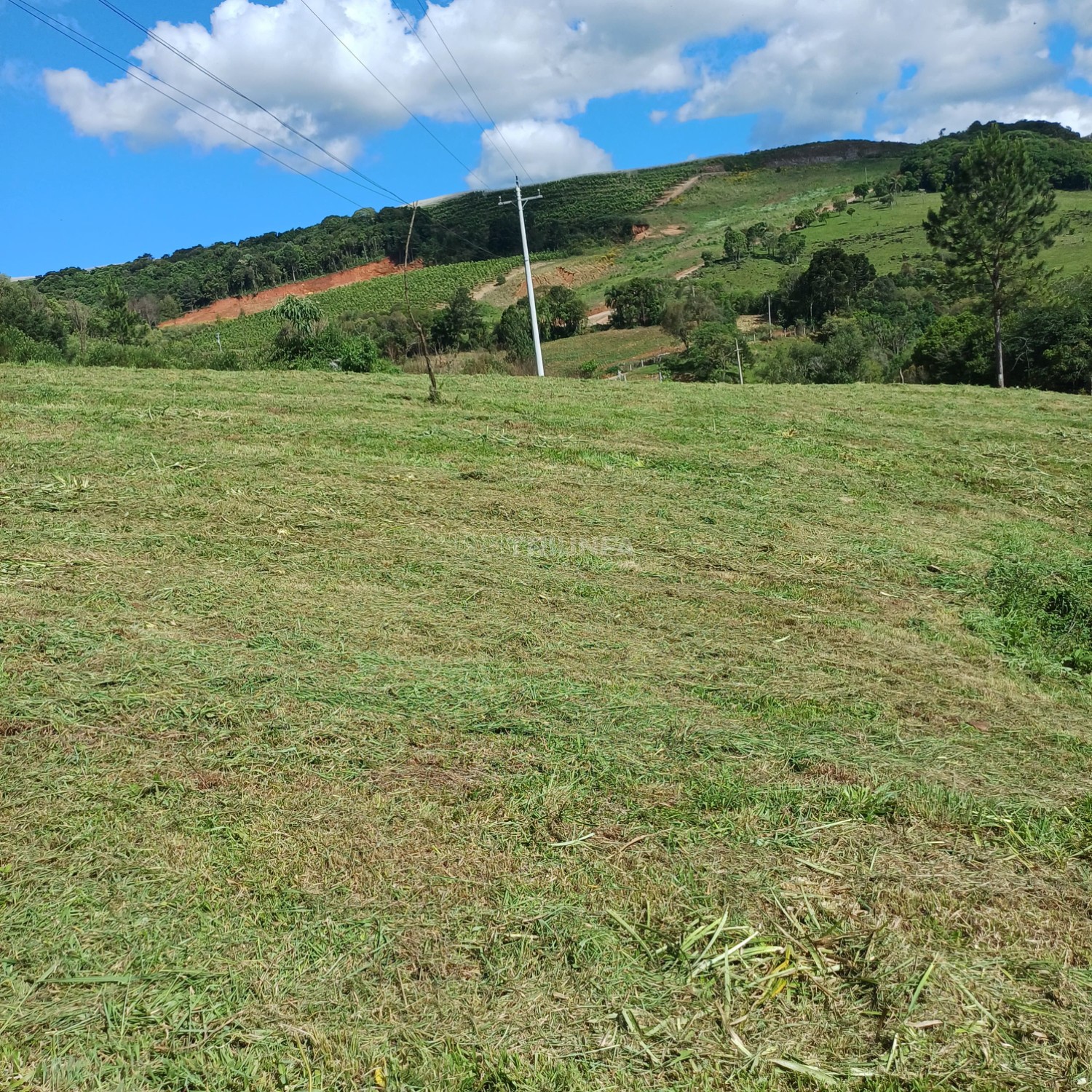 Chácara, à venda, 20.000 m², Santa Lúcia do Piaí - Caxias do Sul — foto 3