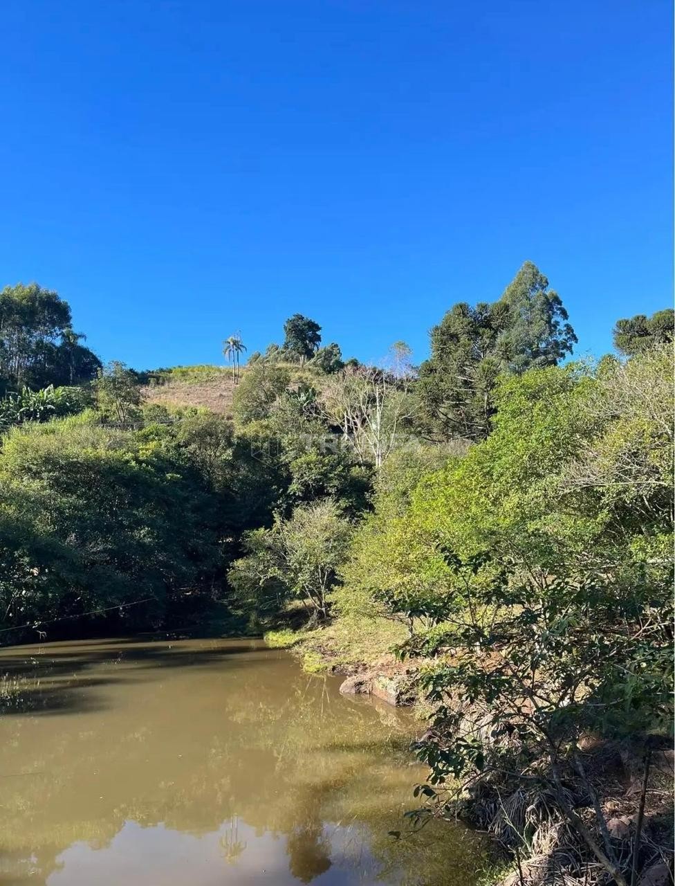 Terreno, à venda, 2.400 m², Alta Feliz - Alto Feliz — foto 2