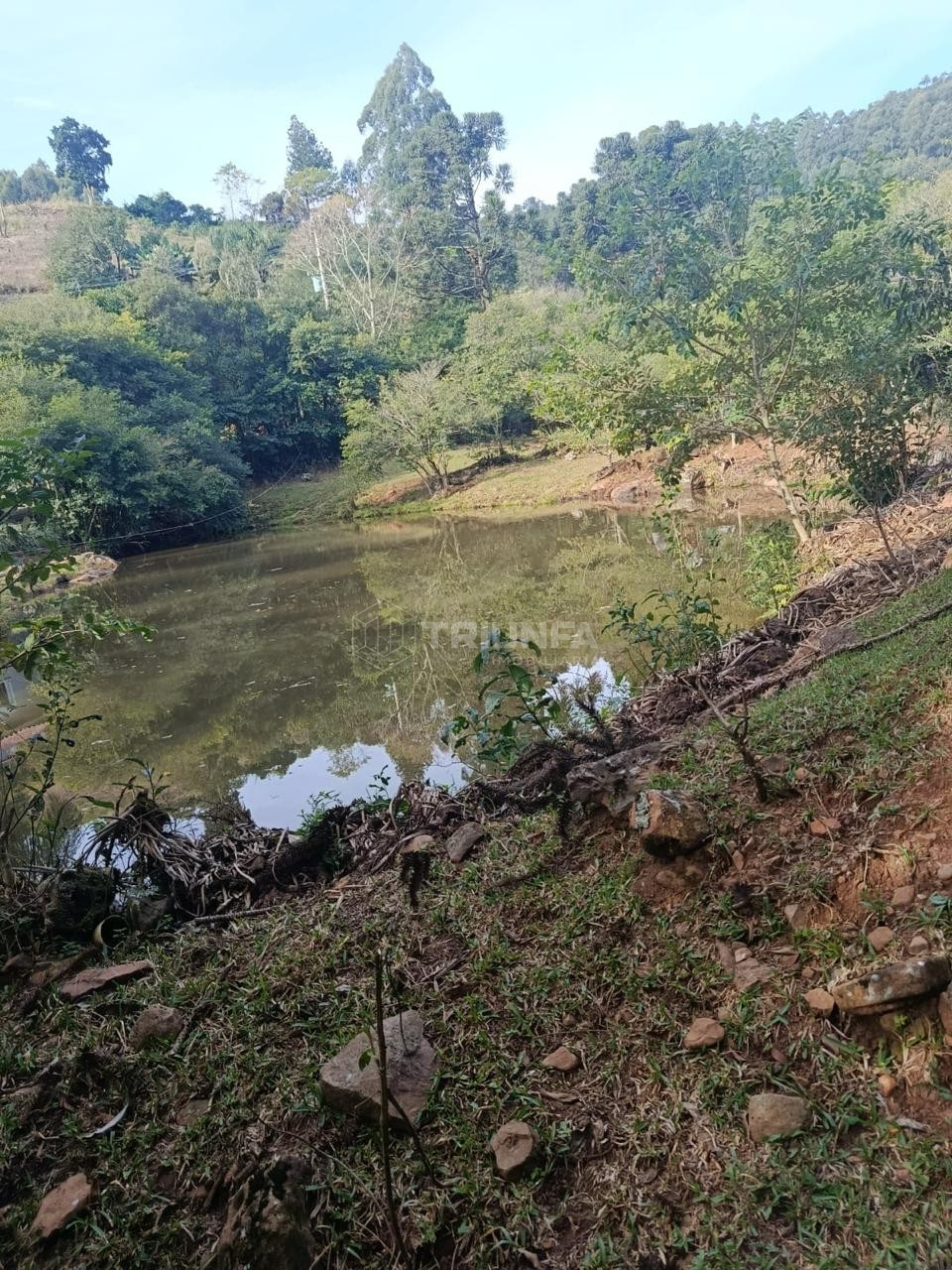 Terreno, à venda, 2.400 m², Alta Feliz - Alto Feliz — foto 3