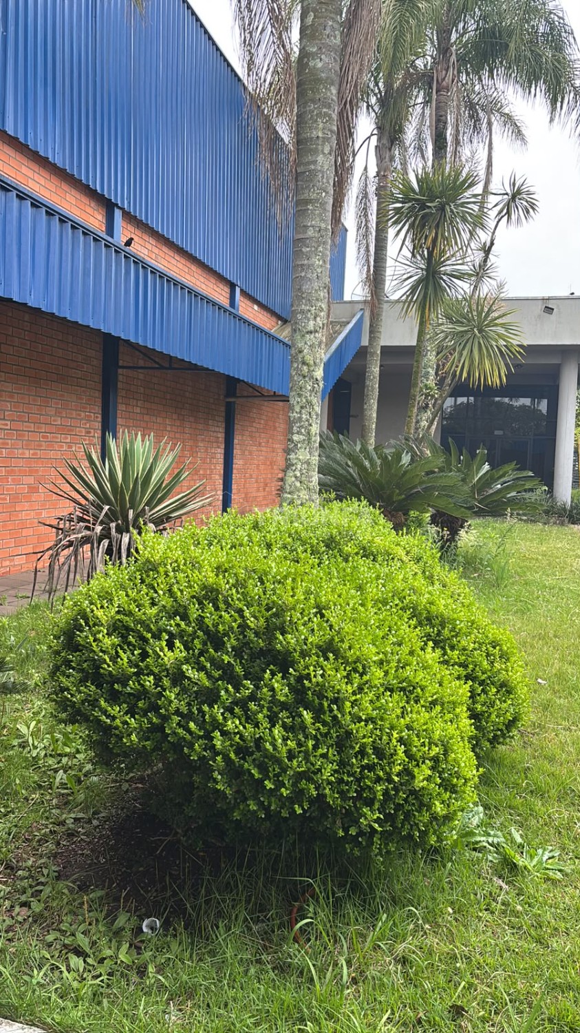 Galpão, para alugar, 7.500 m², Nossa Senhora das Graças - Caxias do Sul — foto 4