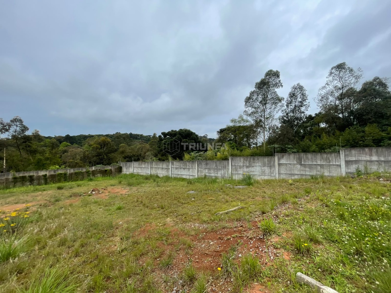 Terreno, à venda, 619 m², Vicentina - Farroupilha — foto 3
