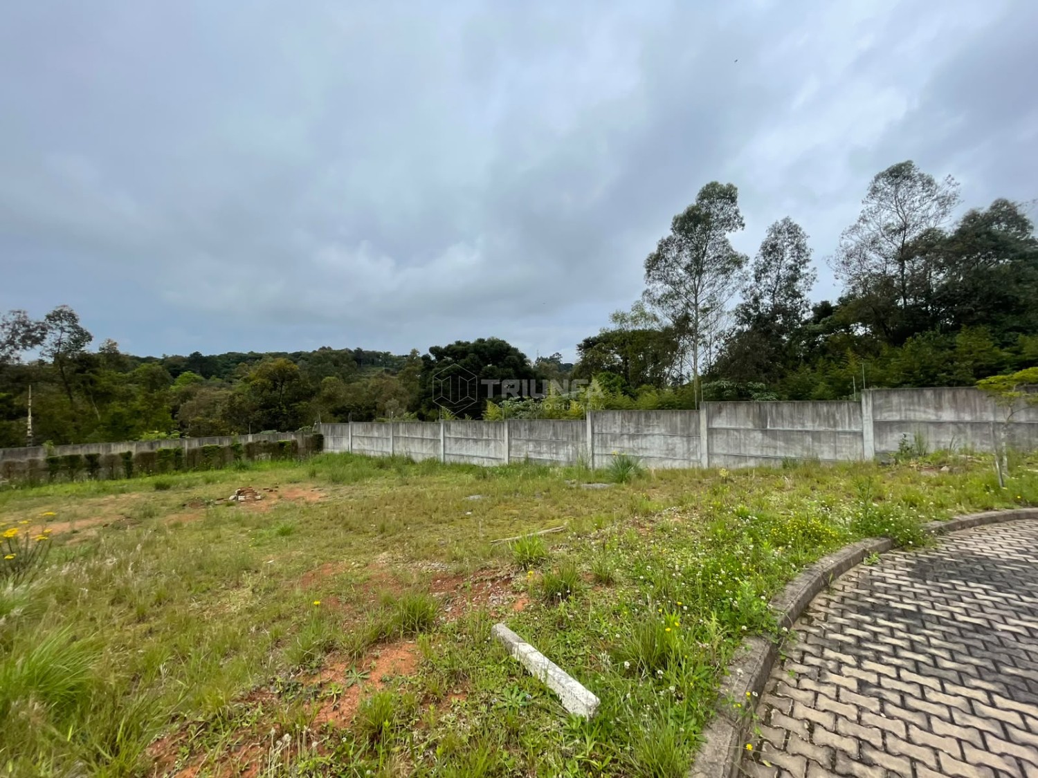 Terreno, à venda, 619 m², Vicentina - Farroupilha — foto 4