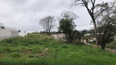 thumbnail-3166a904-550f-4b26-881d-2fa36647edd5-64d13576e518a.wepb