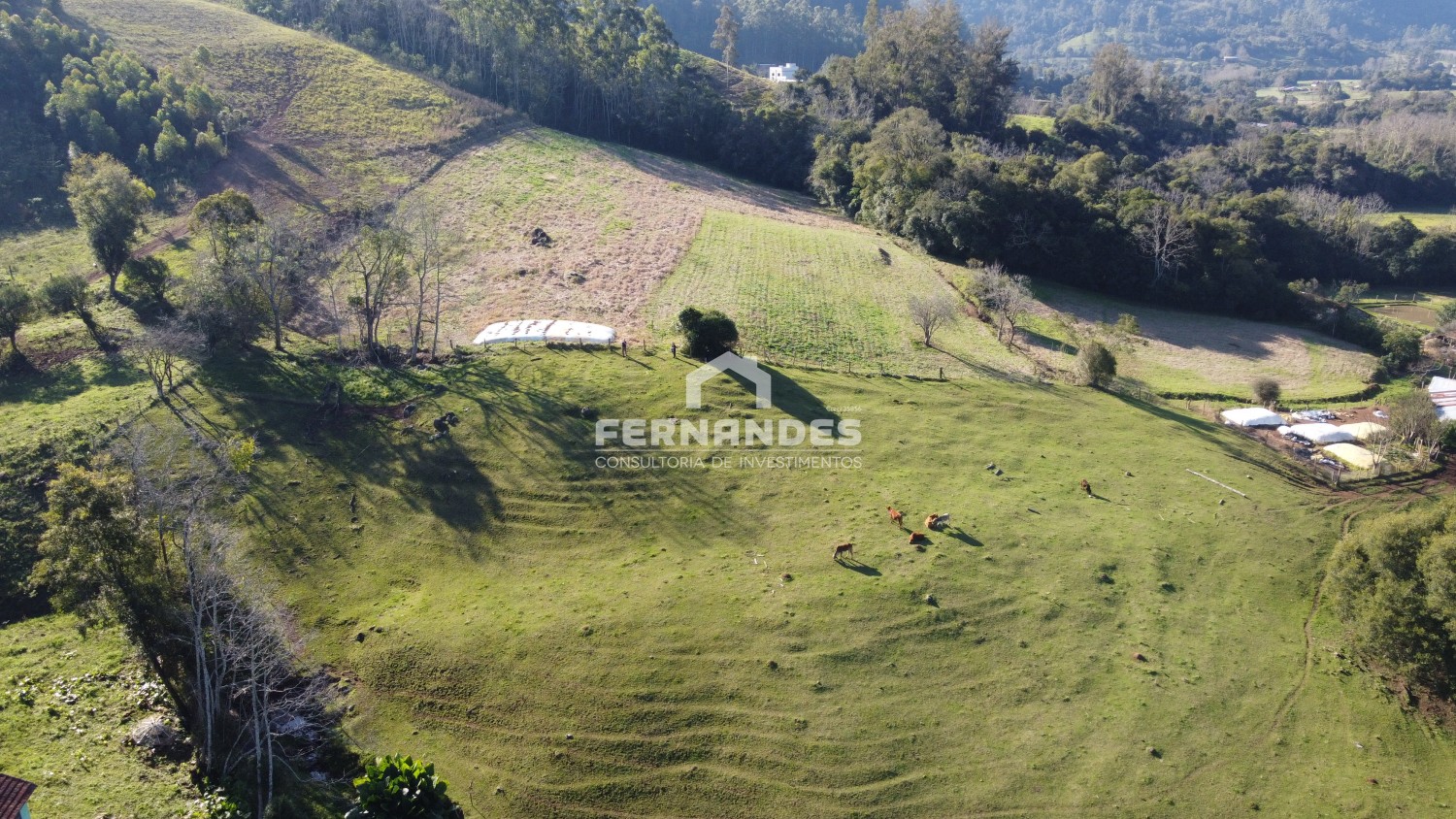 thumbnail-dji-0514-original-64c95d744c95d.wepb