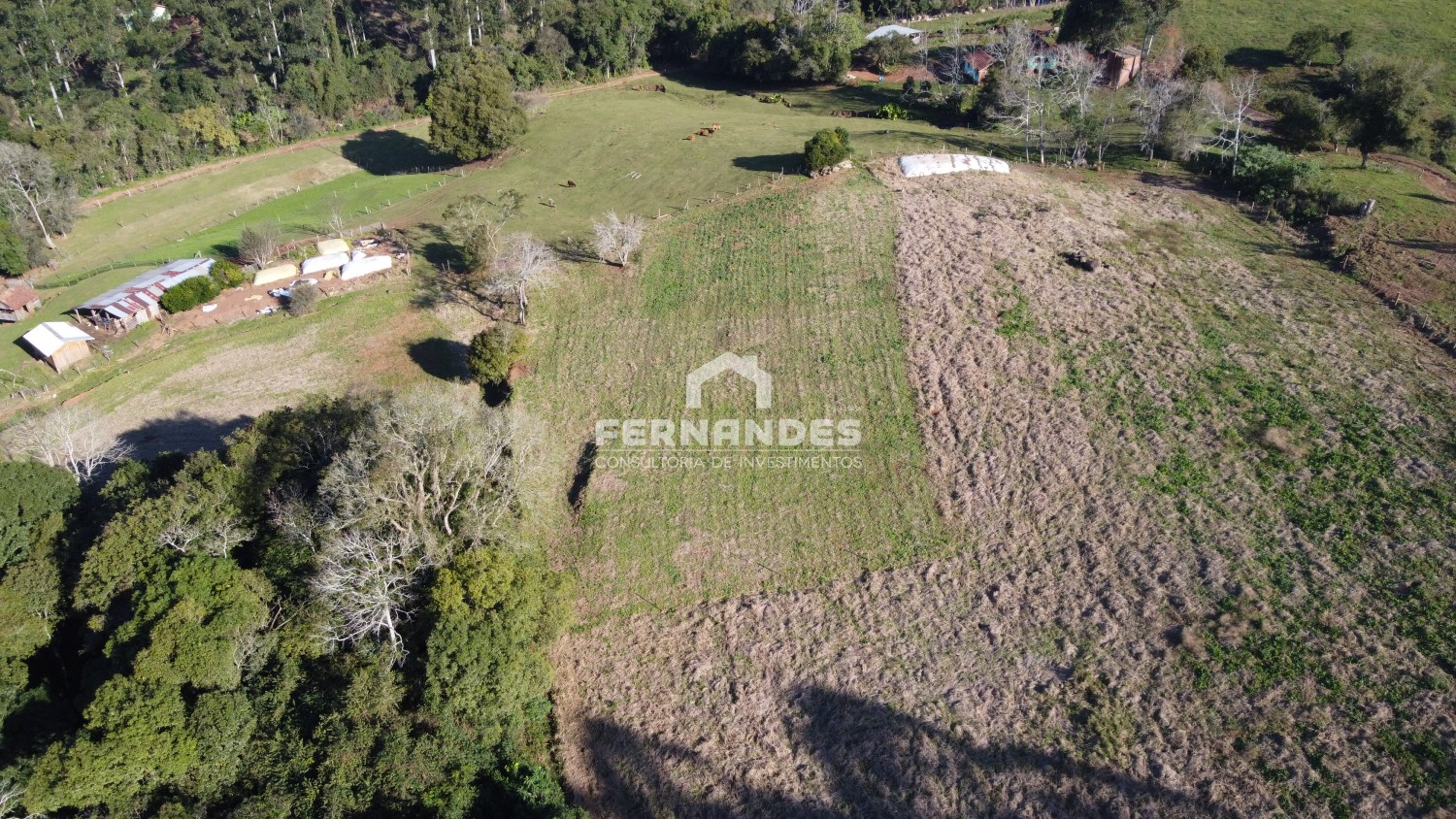 thumbnail-dji-0504-original-64c95e386ef54.wepb