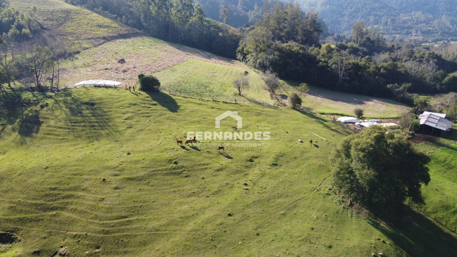 thumbnail-dji-0487-original-64c95f1d209fc.wepb