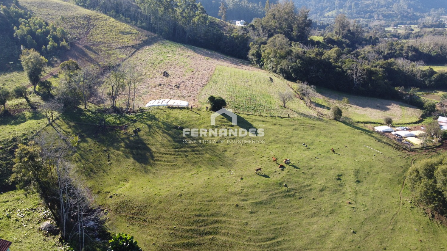 thumbnail-dji-0515-original-64c95f3de563a.wepb