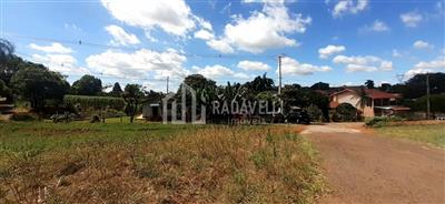 thumbnail-mp_1241277894.jpg