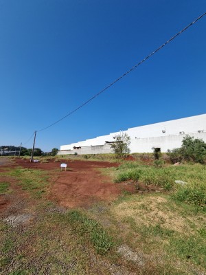 thumbnail--68628c89562e0.webp