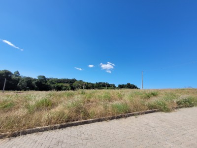 thumbnail--686d092d5e073.webp