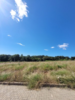 thumbnail--686d09312d076.webp
