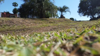 thumbnail--687660a05563d.webp