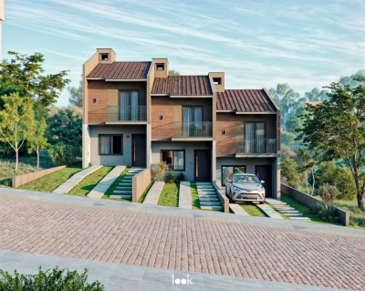 thumbnail--688a2052e9578.webp