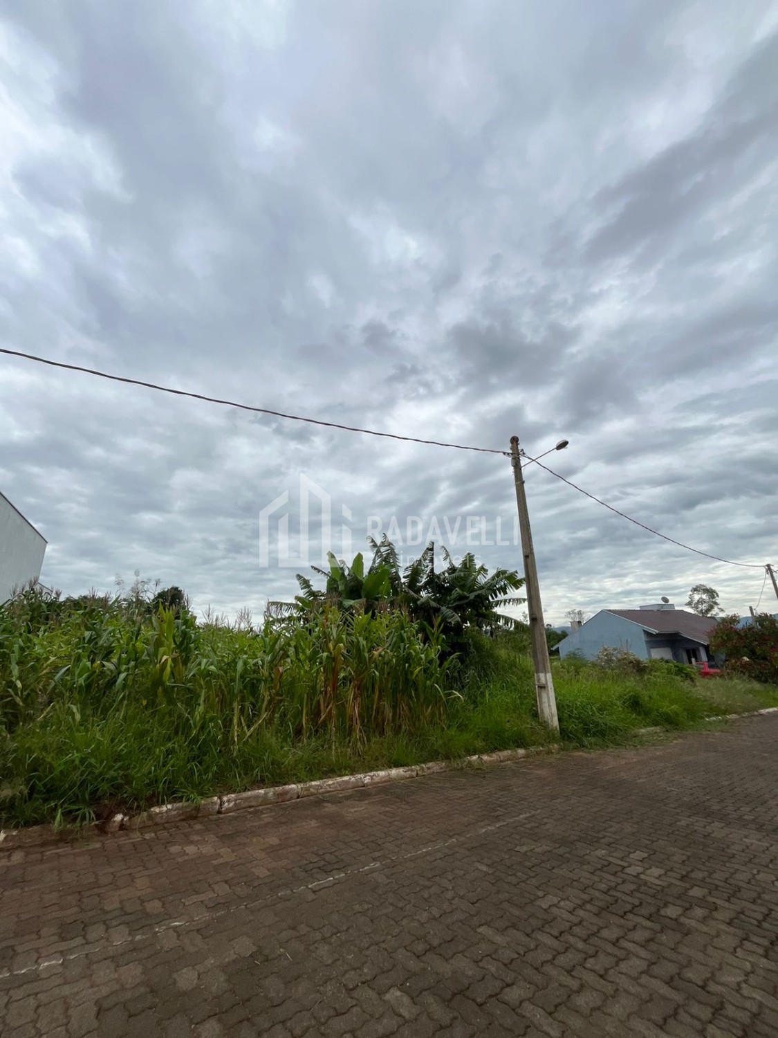 thumbnail--68d133f28663a.webp
