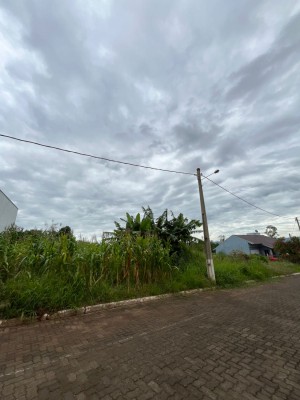 thumbnail--68d133f28663a.webp